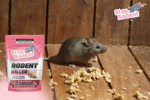 How can you prevent rodent baits from attracting other non-target anim ...