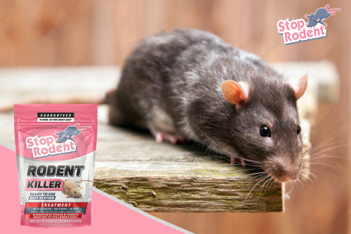 How to order the product Rat poisons?