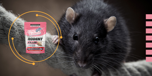 Anti-rodent product : Advice for use in an industrial environment