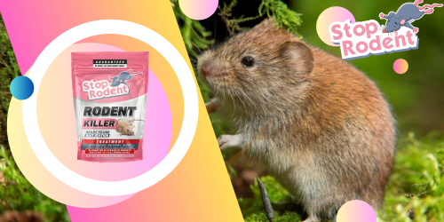 It is possible to keep the anti-rodent product