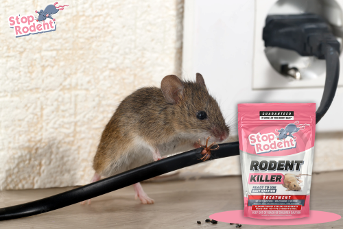 Can I use rodent baits in a home with small children?