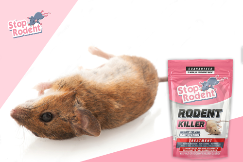 Are there any precautions to take when using rodent baits?