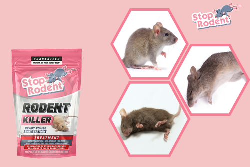 The best rodent repellents?